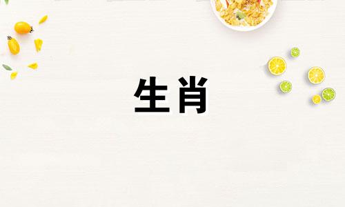 出生日期在半人马座阴历中代表什么?