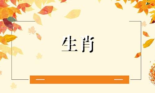 属虎今年多大了,你的运气如何?