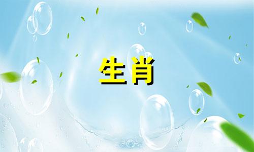 属羊的父亲和什么属相的孩子是三进、六进