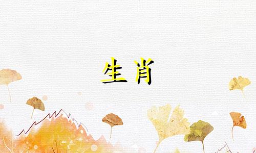 1991年是羊年2022年运气和距离