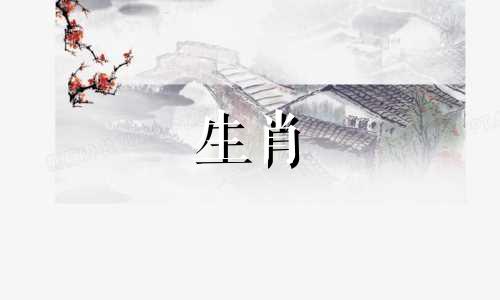 属鼠最适合哪一种动物?鼠生肖和什么最搭