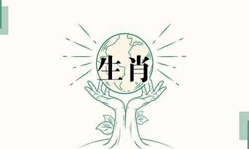 2022年属羊的女人高贵又幸运