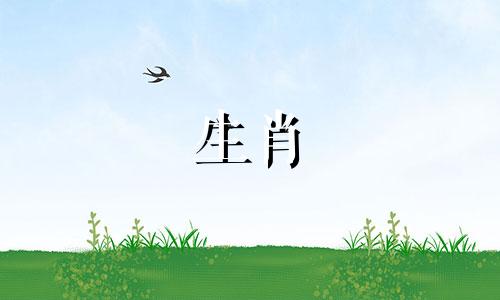 91年属羊的人运势好、旺、稳、成