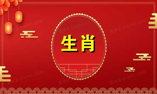 兔子爸爸和小属鼠会发生冲突吗