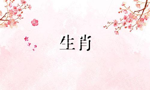 1990年出生,30岁生肖马男2022年好运,财运在危,桃花不稳