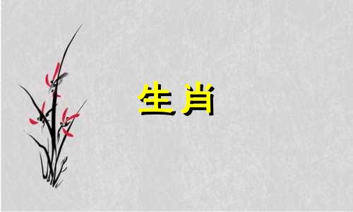 为什么72岁的猪会有灾难?