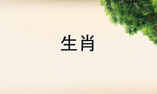 马年出生的女性2022年运势好，事业成就高，金钱收入高