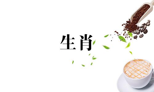 2022年4月马的情感星象紫薇没药星闪耀,幸福满满