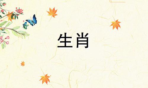 78年的马最适合什么属相