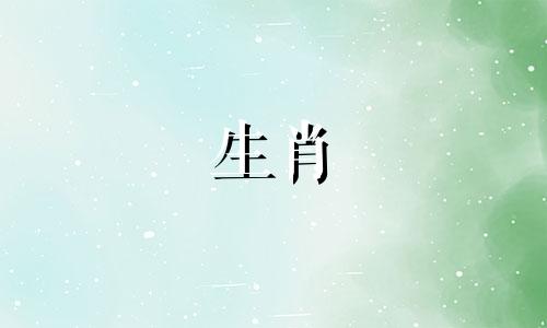 1978年吴武生于马天火缘