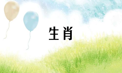 关于生肖马的特点爱情性格分析