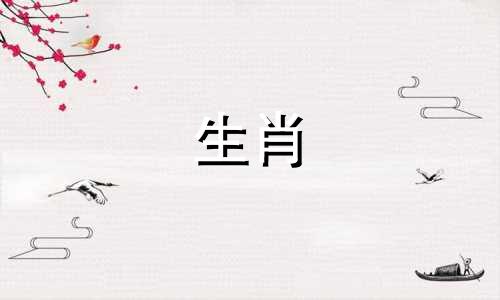 蛇妈妈和鸡爸爸不适合宝宝