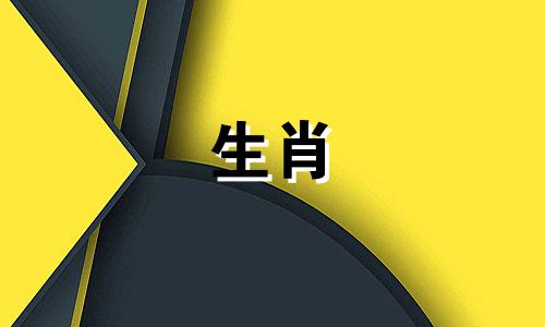 属鸡的性格与情感生肖鸡的性格特点爱情性格