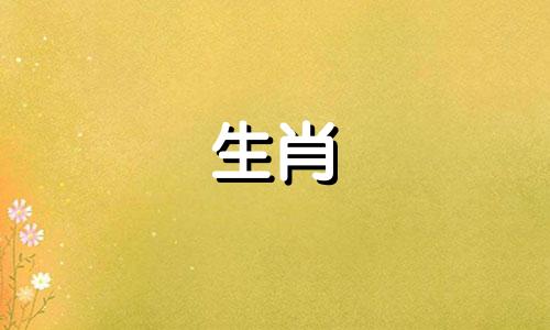 2019年，猪宝宝是如何获得昵称的?