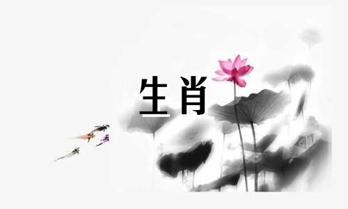 2013年出生的9岁蛇祝2022年好运