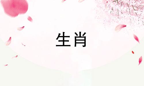 兔子和羊是如何结婚的