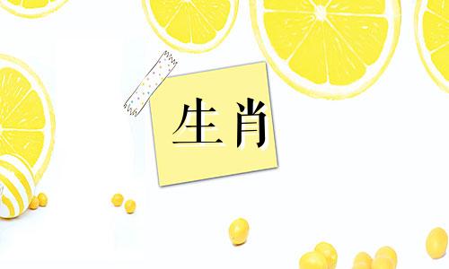 蛇最好的命运是什么时候出生?牛打小孩