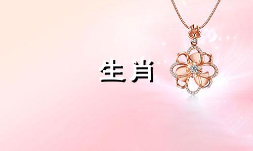 2013年出生的蛇的生活是怎样的,盛年是赚大钱,然后逐渐趋于平稳