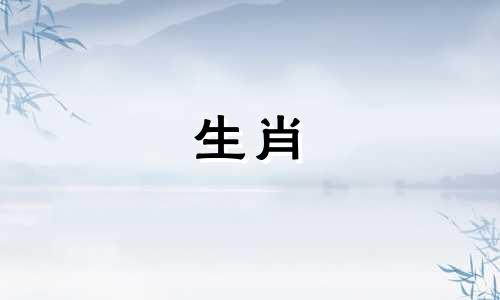 宋绍光分析2022生肖蛇生涯