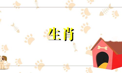 李巨明分析2022生肖蛇桃运