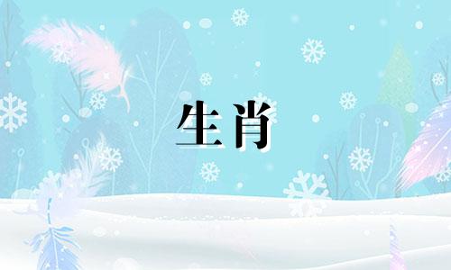 属龙母与子不相容，属龙与狗不相容