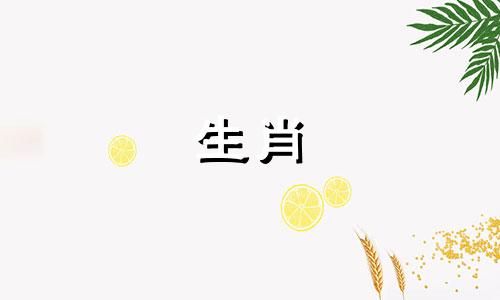 属龙女将在2022年2月生孩子,你的性格是什么?