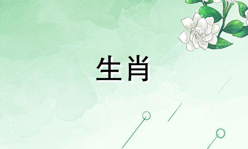 2022年属龙的幸运颜色和快乐数字