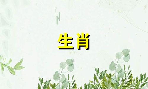 属龙的父母和哪个属兽的孩子最般配