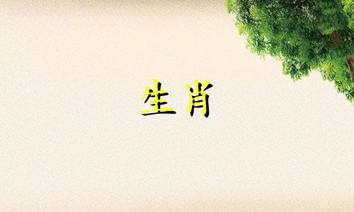 属龙女将在2022年5月生孩子,好吗?