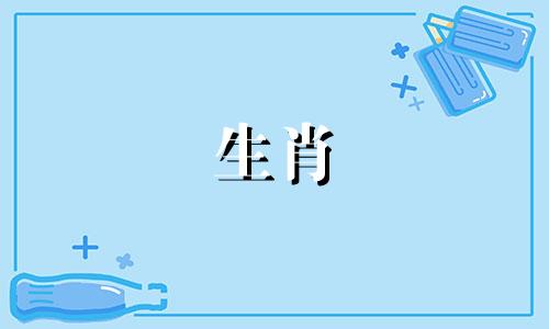 属鼠和属虎的比赛能持久吗?