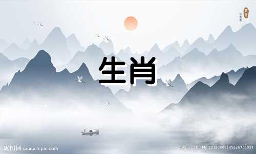 属龙妈妈和蛇爸爸不适合宝宝