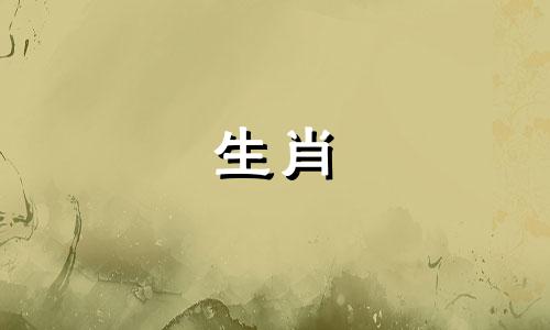 虎年属兔年你的2022年运势