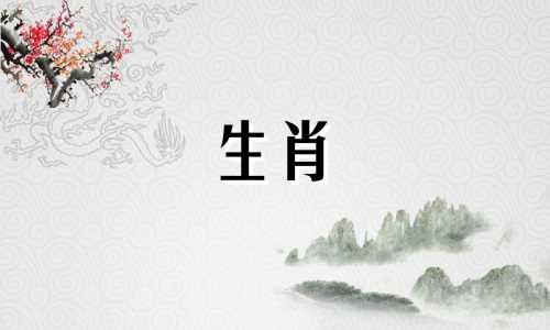 什么是女兔最忌讳男兔