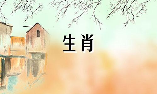 兔子和属龙可以一起工作吗