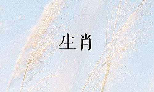 1988年的属龙，2022年的财