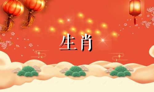 属龙的人感情运势上升，一切都很顺利。