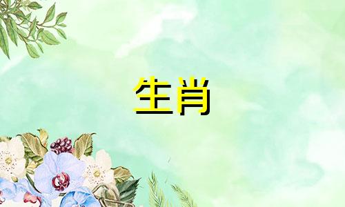 1990公马1994母狗婚姻怎么样,公狗和母马很般配