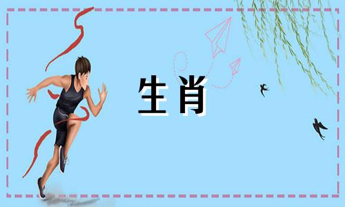 宋绍光分析2022年生肖属龙的成因虎年属龙出现在2022年