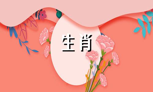 猪男喜欢什么样的女人猪男喜欢什么样的女人