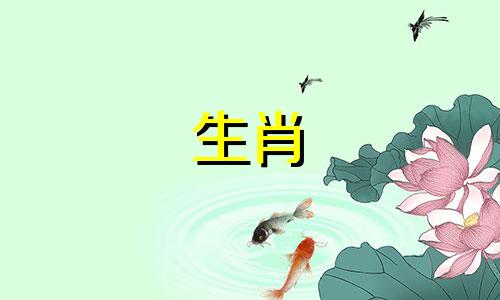 公兔和母兔2022年要生娃，好运没有