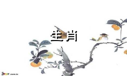 兔男羊女可以在2022年生孩子吗?没有