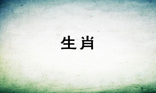 绵羊和属猴适合结婚吗?