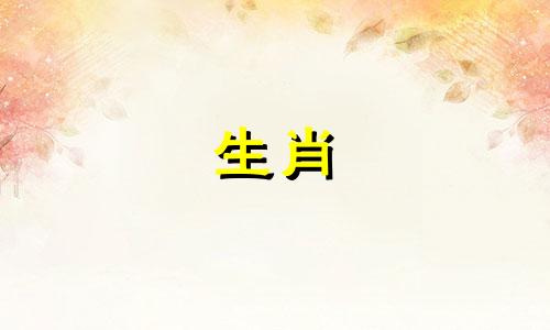 兔子属于什么动物种类?