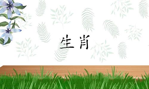 在属猴测试中穿什么颜色的衣服