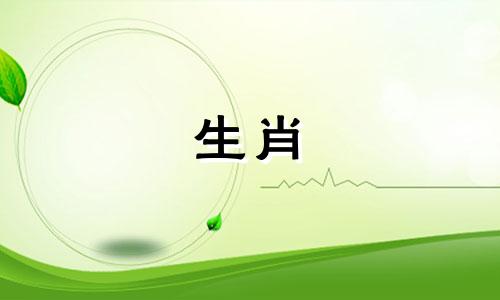 你今年的运势和运气如何? 