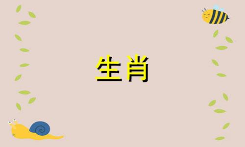 1952年的属龙是什么?雨中的属龙?