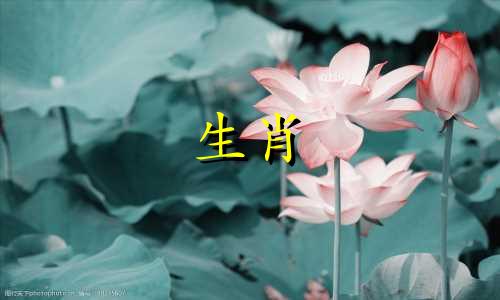 生肖蛇人是否与黄金竞争