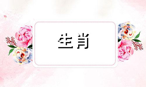 2022年2月,属兔人事业相对平平,宜稳中求进