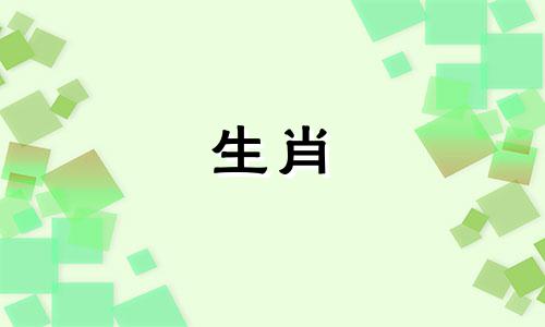 父亲是兔子和什么生肖的孩子是对立的