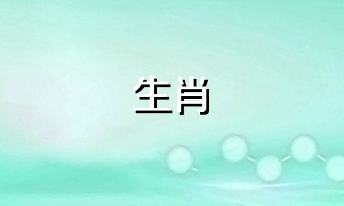 兔妈妈和狗爸爸不符合什么属相?